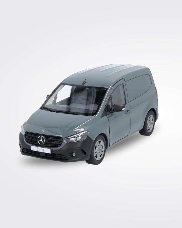 Citan, Fourgon
