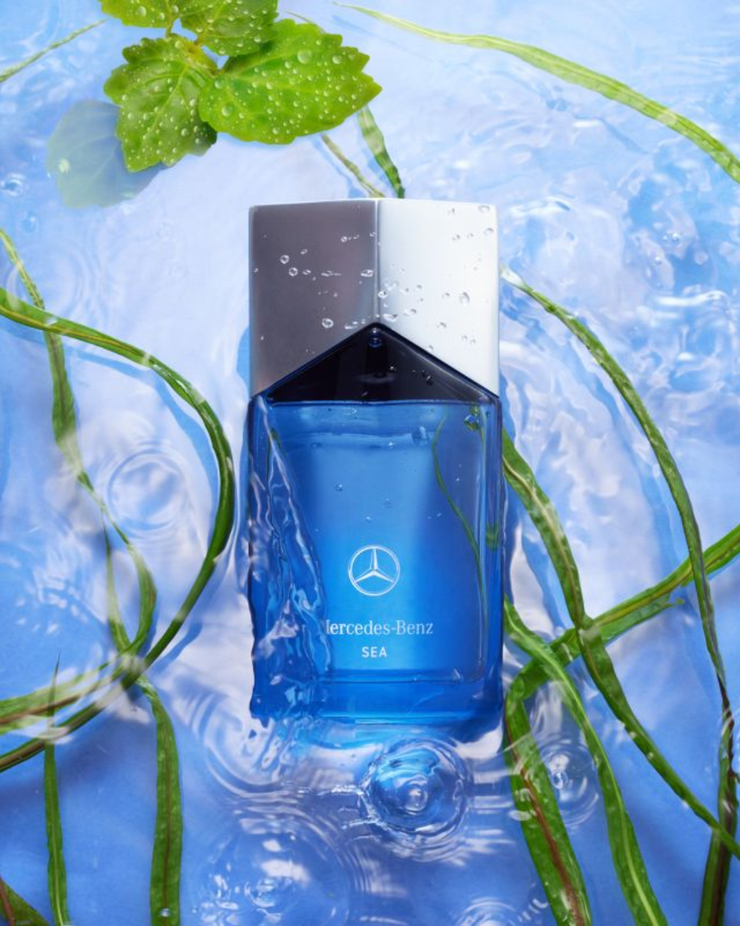 Parfum Homme Sea