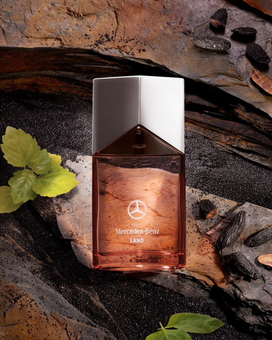 Parfum Homme Land