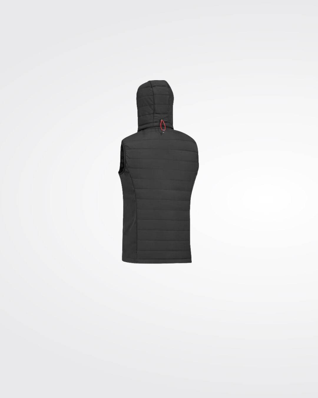 Gilet hybride AMG